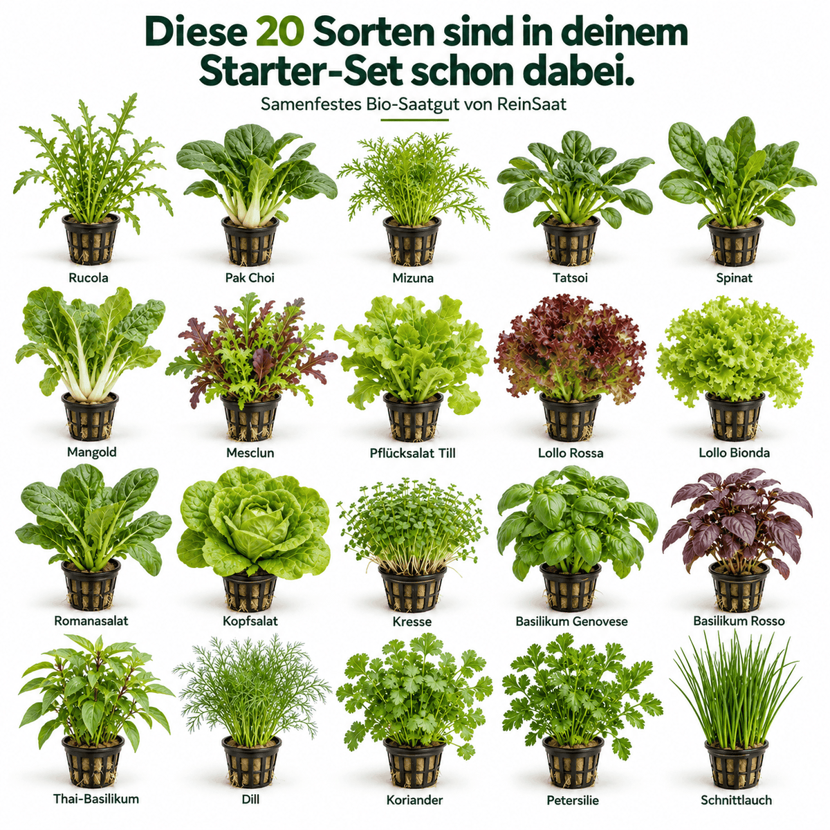 MultiSpa® Indoor-Garden - MultiSpa®