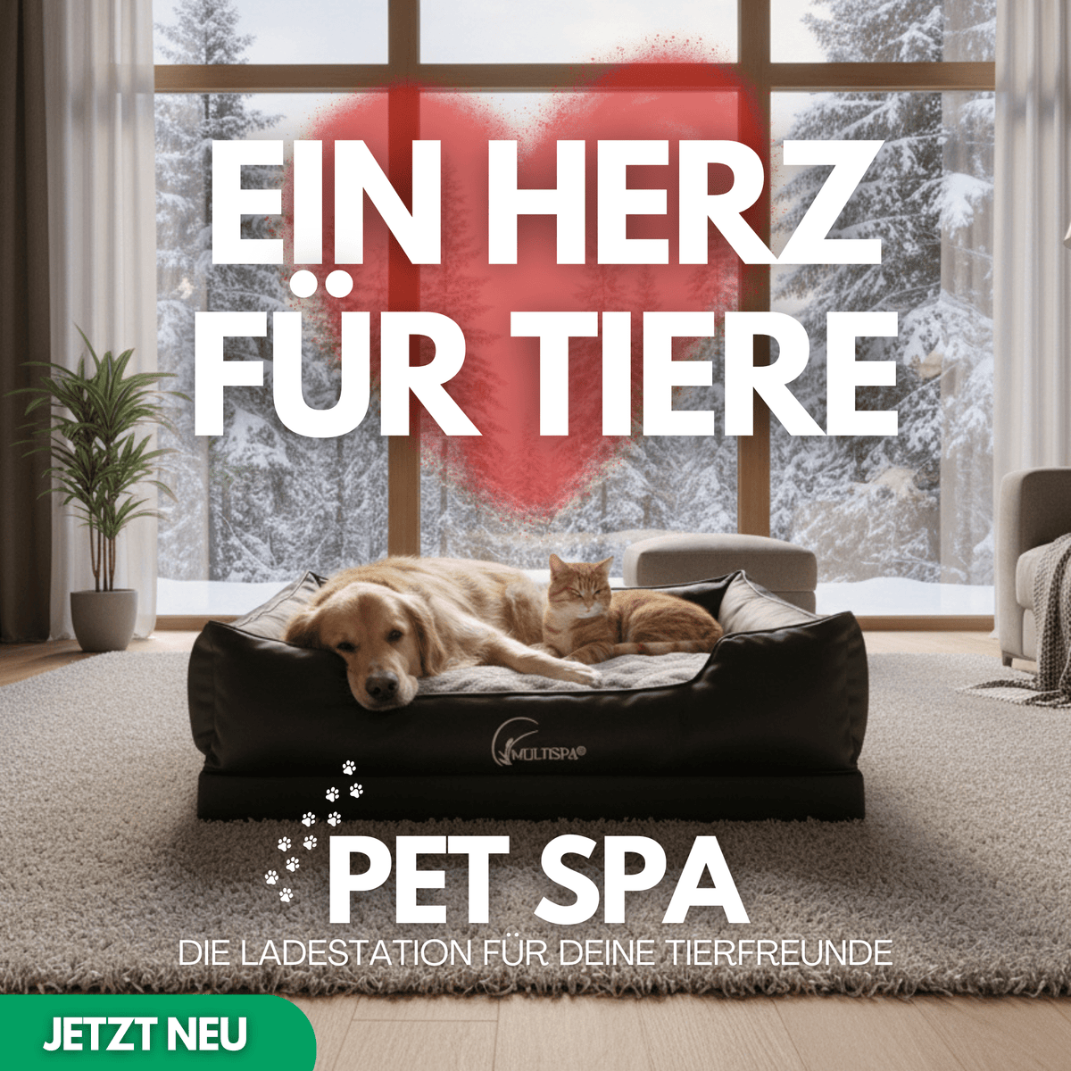 NEU: MultiSpa® Pet - Spa Black - November - MultiSpa®