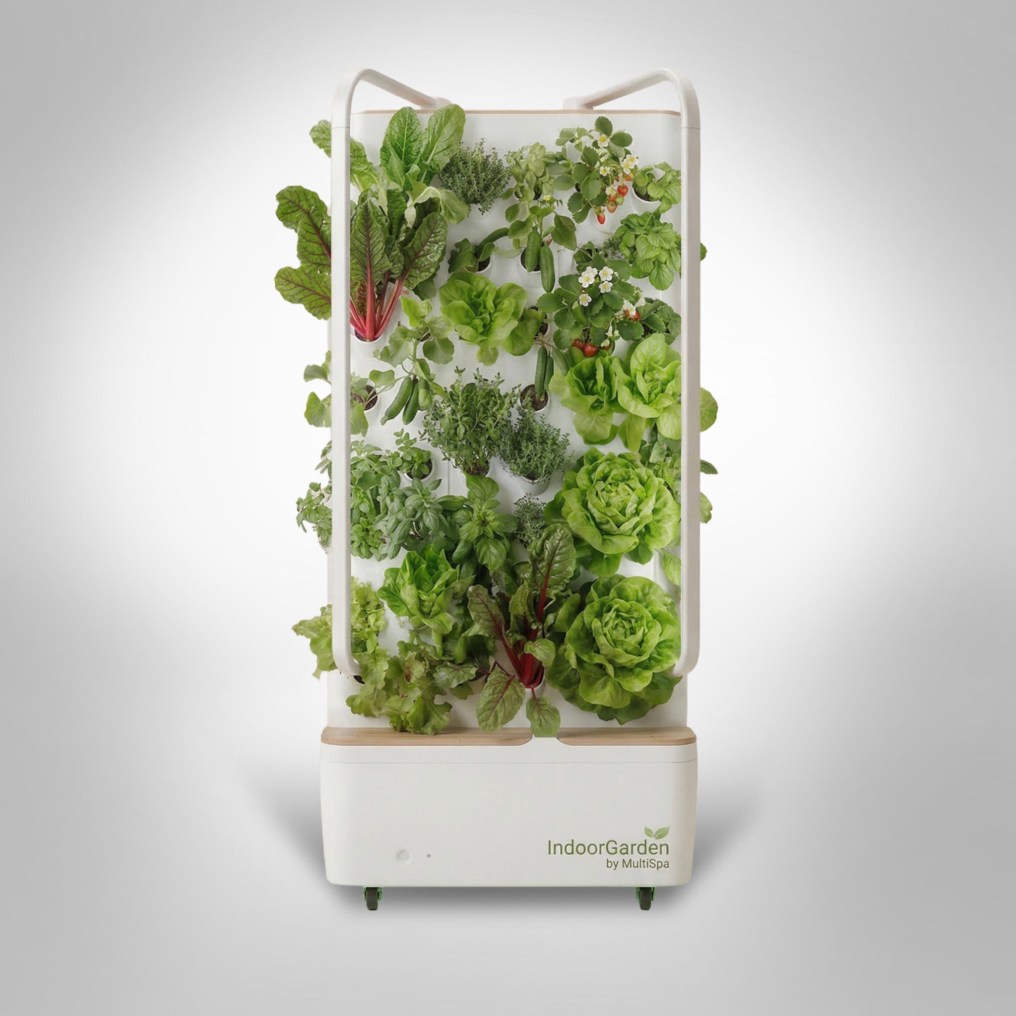 MultiSpa® Indoor - Garden - MultiSpa®