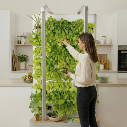 MultiSpa® Indoor - Garden - MultiSpa®