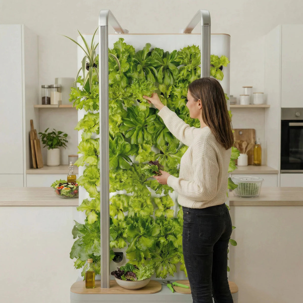 MultiSpa® Indoor - Garden - MultiSpa®