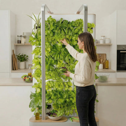 MultiSpa® Indoor - Garden - MultiSpa®