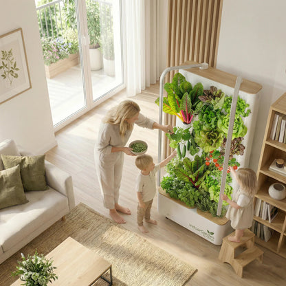 MultiSpa® Indoor - Garden - MultiSpa®