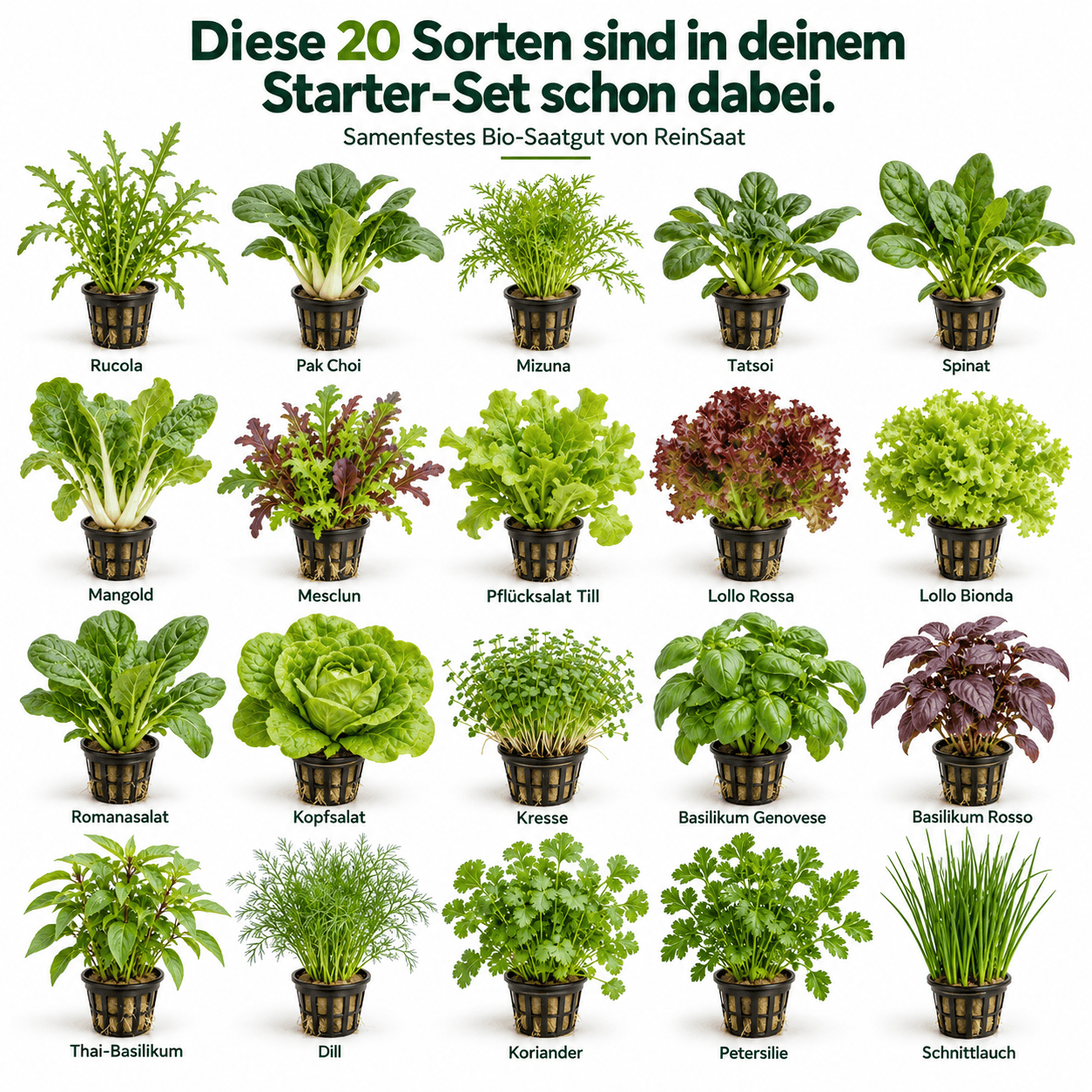 MultiSpa® Indoor-Garden - MultiSpa®