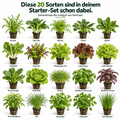 MultiSpa® Indoor-Garden - MultiSpa®