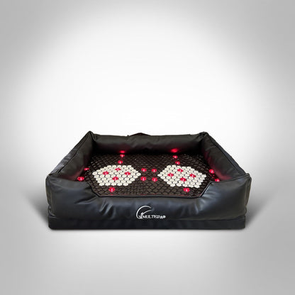 MultiSpa® Pet - Spa - MultiSpa®