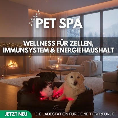 MultiSpa® Pet - Spa Webinar - Special - MultiSpa®