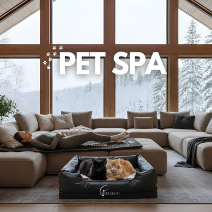 MultiSpa® Pet - Spa Webinar - Special - MultiSpa®