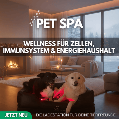 NEU: MultiSpa® Pet - Spa Black - November - MultiSpa®
